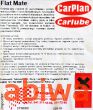 USZCZELNIACZ PRZEBITYCH OPON 300ML CARPLAN - 2