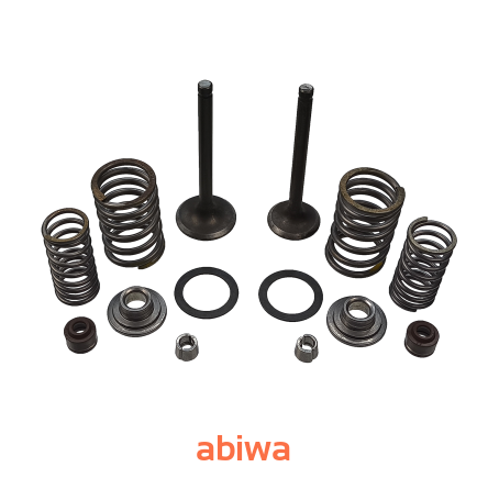 ZAWORY SILNIKA UZBROJONE 70CCM (ŁOŚ, KING)