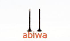 ZAWÓR SSĄCY I WYDECHOWY 50CCM 4T 139QMB- TAJWAN
