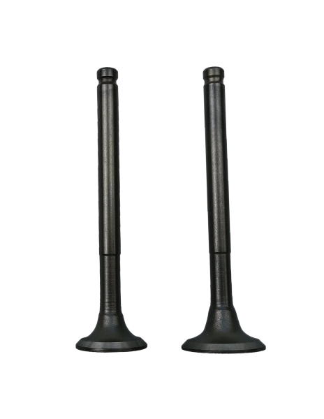 ZAWÓR SSĄCY I WYDECHOWY 50CCM 4T 139QMB