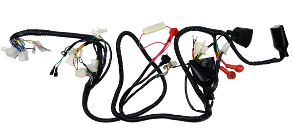 WIĄZKA INSTALACJI ELEKTRYCZNEJ - GY6 50 4T KOŁO 10' TYPU WILGA