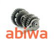 SKRZYNIA BIEGÓW KPL. CROSS 110-125 CC WAŁEK 17MM - 2